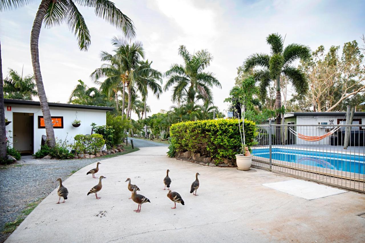Bush Village Holiday Cabins Airlie Beach Exterior photo